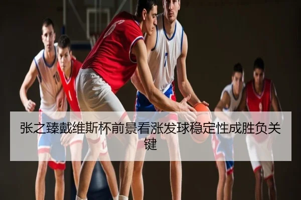 张之臻戴维斯杯前景看涨发球稳定性成胜负关键
